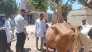 جامعة أسوان تختتم اعمال قافلة بيطرية وتقدم الرعاية الطبية لأكثر من 600 حالة حيوانية وطيور