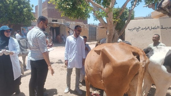 جامعة أسوان تختتم اعمال قافلة بيطرية وتقدم الرعاية الطبية لأكثر من 600 حالة حيوانية وطيور