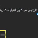 ضبط عاطل بالشرقية يزعم بيع المخدرات عبر الإنترنت للنصب على المواطنين بالإسكندرية